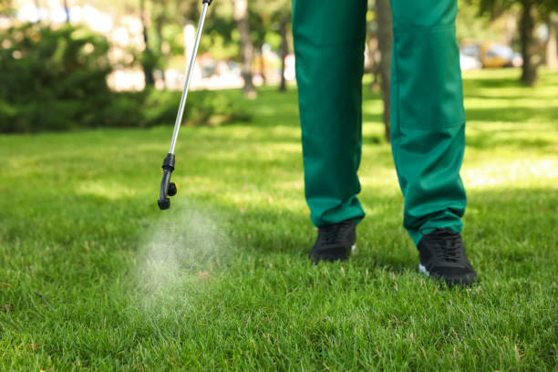 Best Affordable Pest Control Services  in Ames, TX