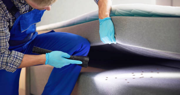 Best Flea Control Services  in Ames, TX
