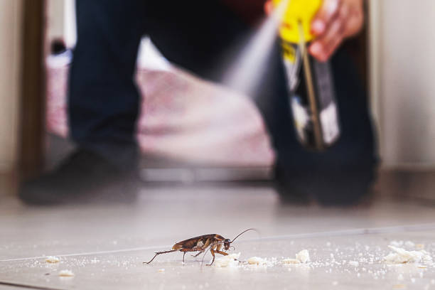 Best Local Pest Control Services  in Ames, TX