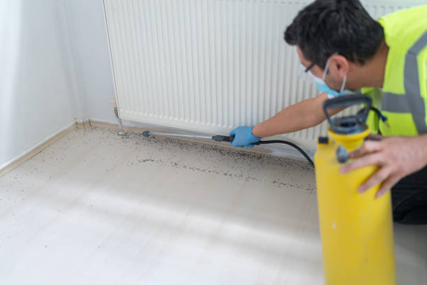 Best Local Pest Control Services  in Ames, TX