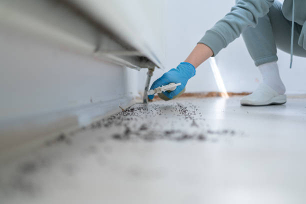 Best Pest Prevention Services  in Ames, TX