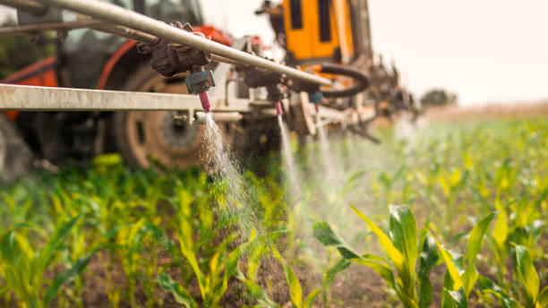 Best Ant Control Services  in Ames, TX